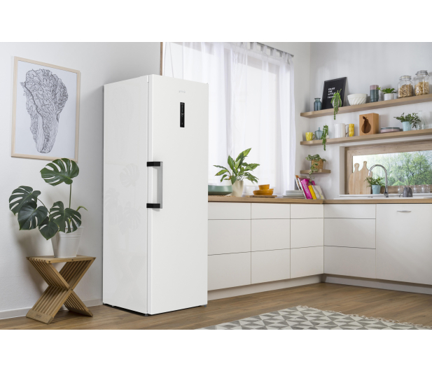 Gorenje R619EAW6 - 1106482 - zdjęcie 4